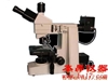 SG-1200BD明暗場透反射顯微鏡