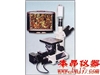 4XC-V圖像金相顯微鏡